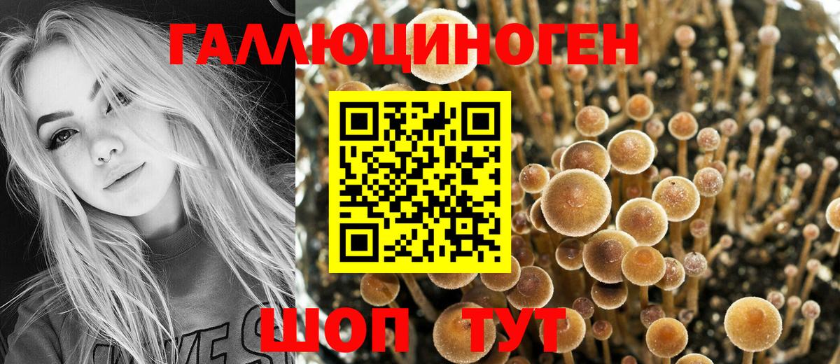 Сергиев Посад  Псилоцибиновые грибы прущие грибы  Вход с VPN 